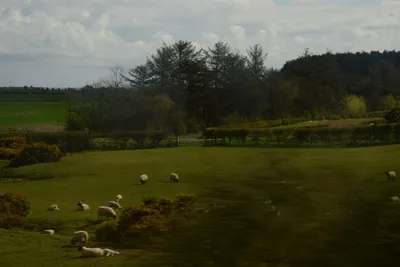 DSC_7216 (Large).JPG